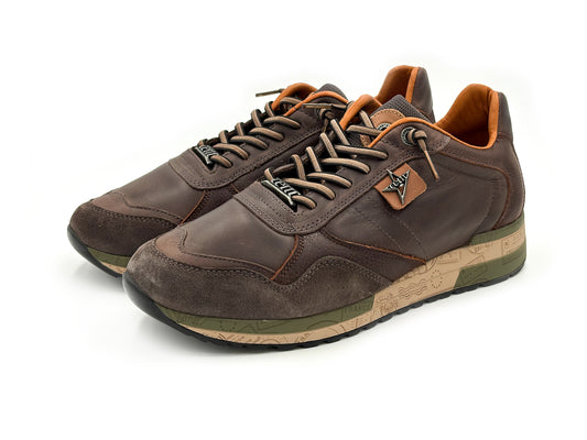 CETTI C-848 XL Snakers Ante Star Dakar cordón elástico Hombre