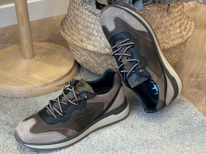 Deportivo Casual Cetti C-1429 Ante Napa Kaki elastico Hombre